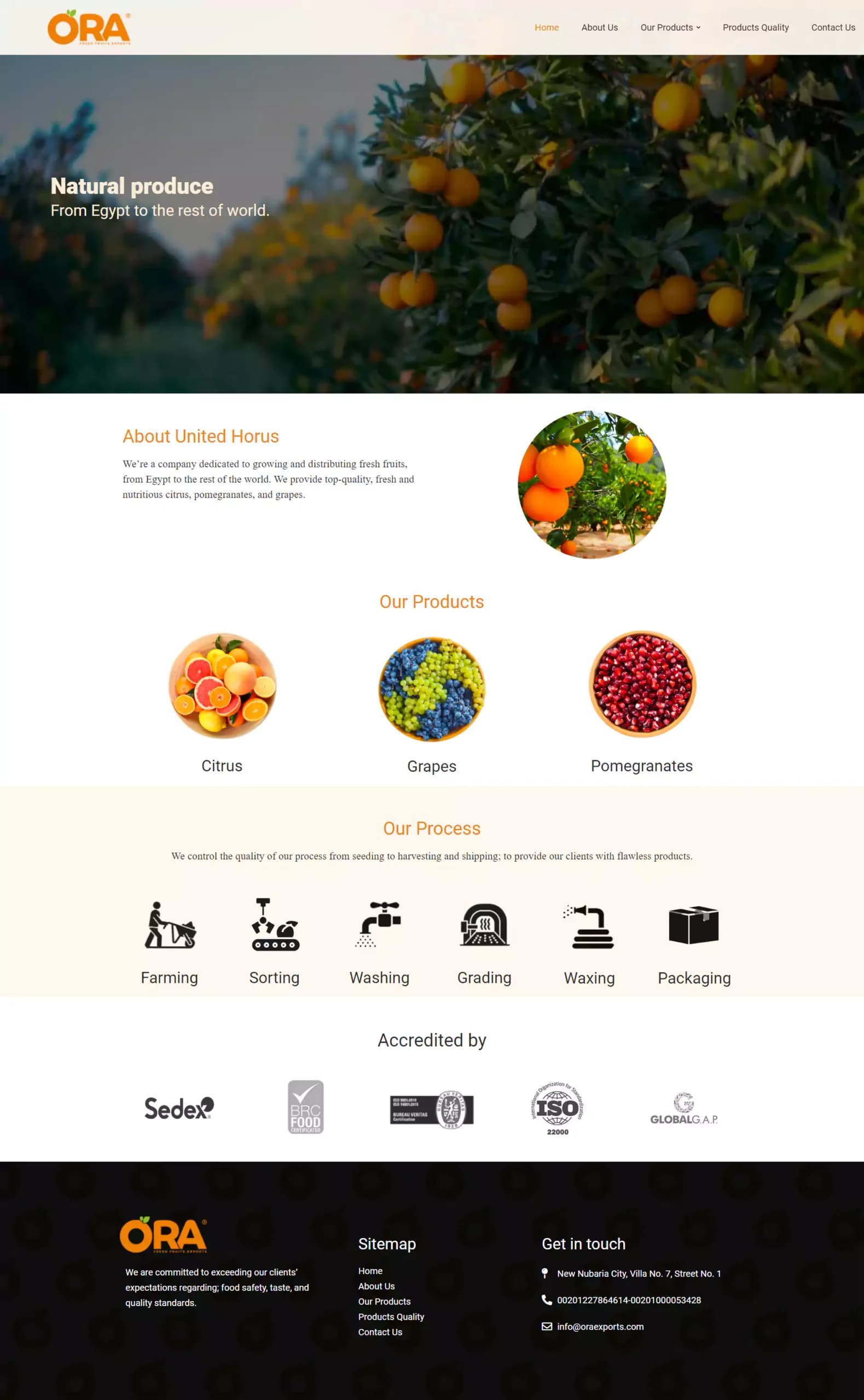 Ora Exports website design by Tranquilo