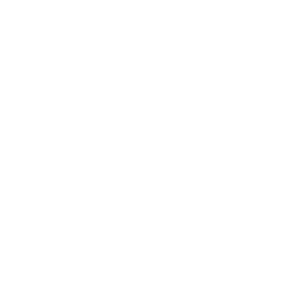 3A International