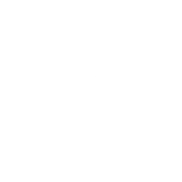 Banque Misr