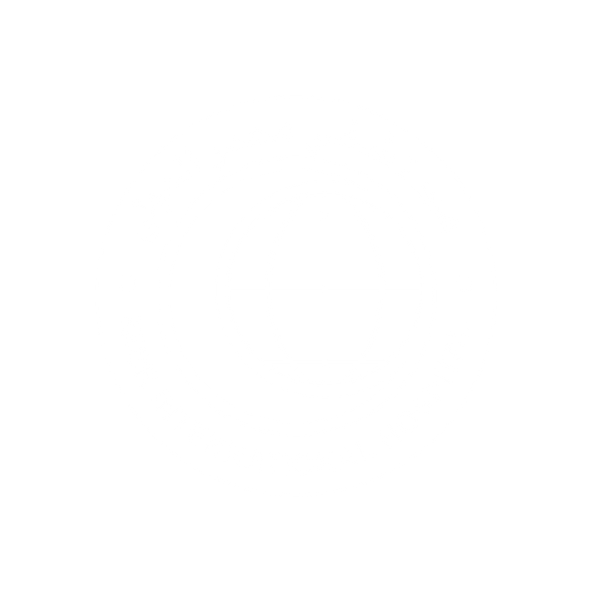 Misr International Hospital